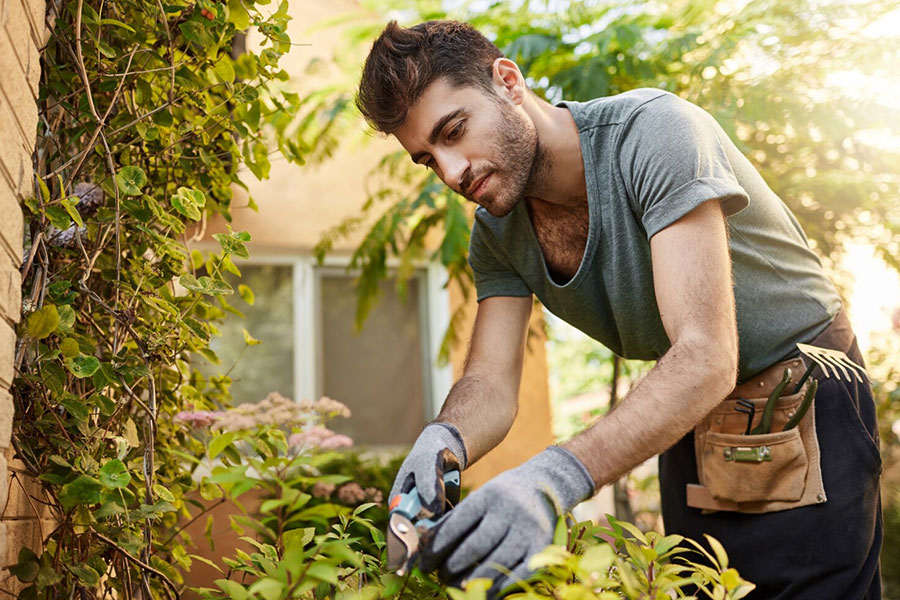 Find Landscapers & Gardeners in Bristol