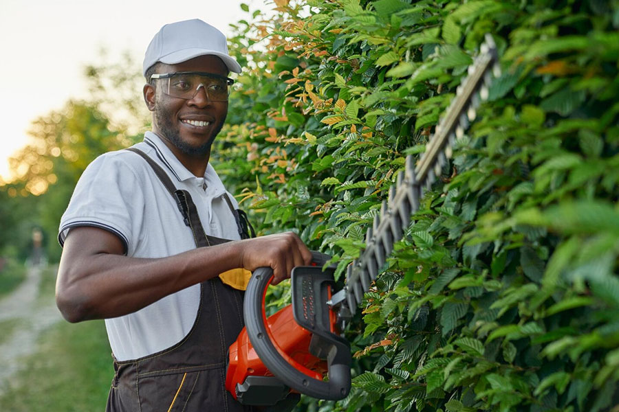 Find Landscapers & Gardeners in Glasgow