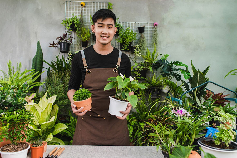 Find Landscapers & Gardeners in Kent