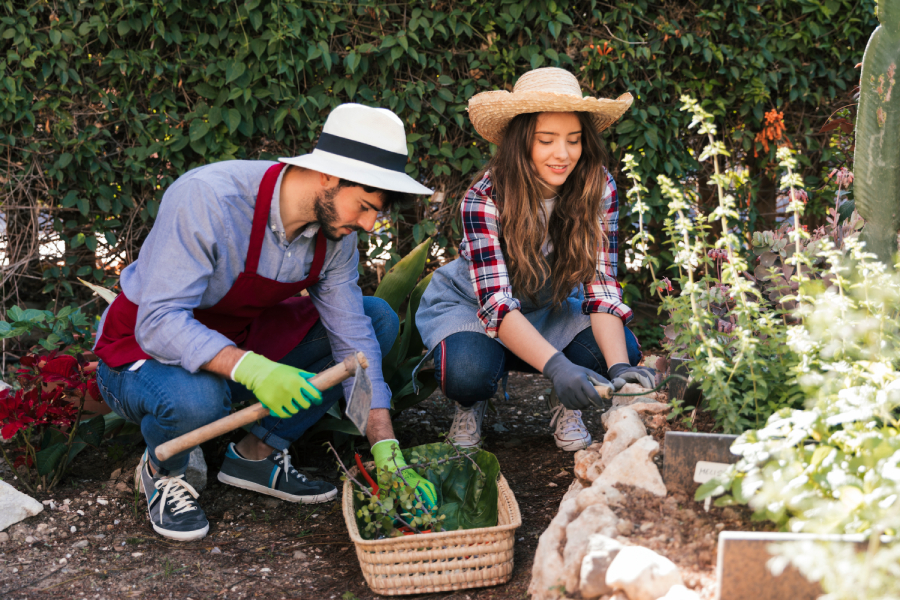 Find Landscapers & Gardeners in Leicester