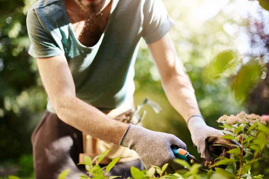 Hire Gardeners & Landscapers in the UK