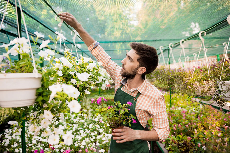 Find Landscapers & Gardeners in Sheffield