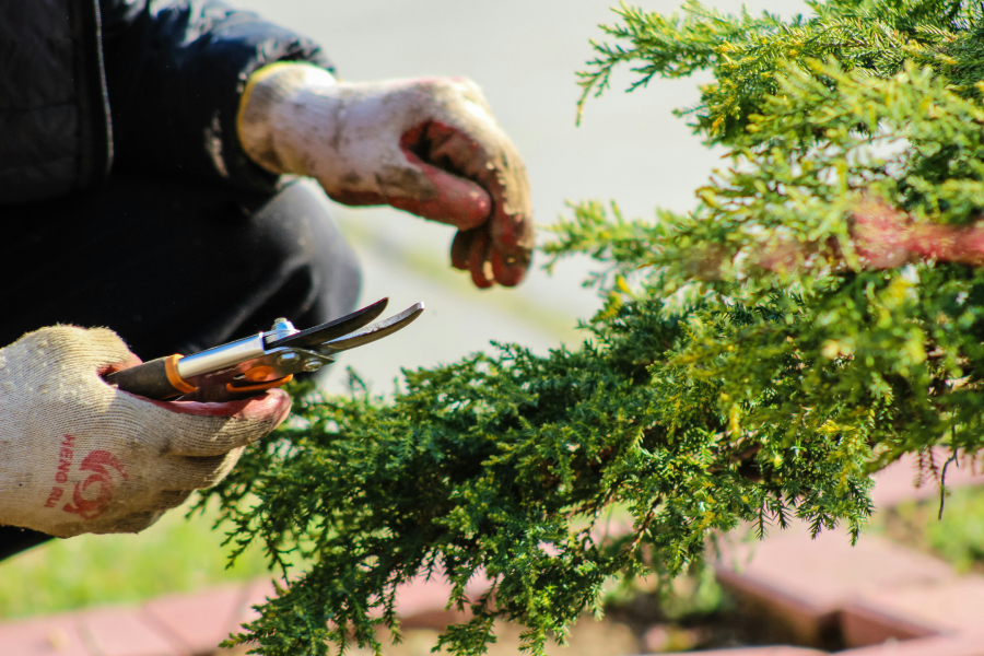 Find Landscapers & Gardeners in Edinburgh