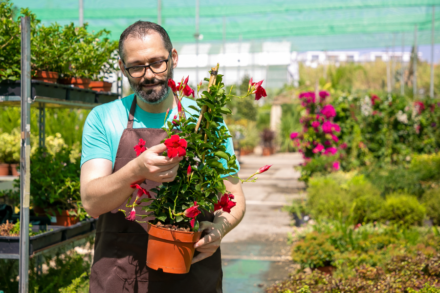 Find Gardeners & Landscapers in Birmingham