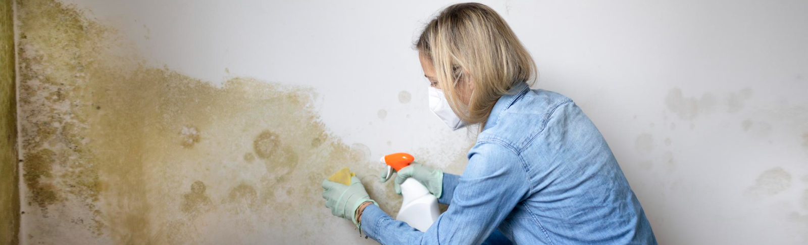 What Is Damp Proofing and Why Is It Important for Your Home?
