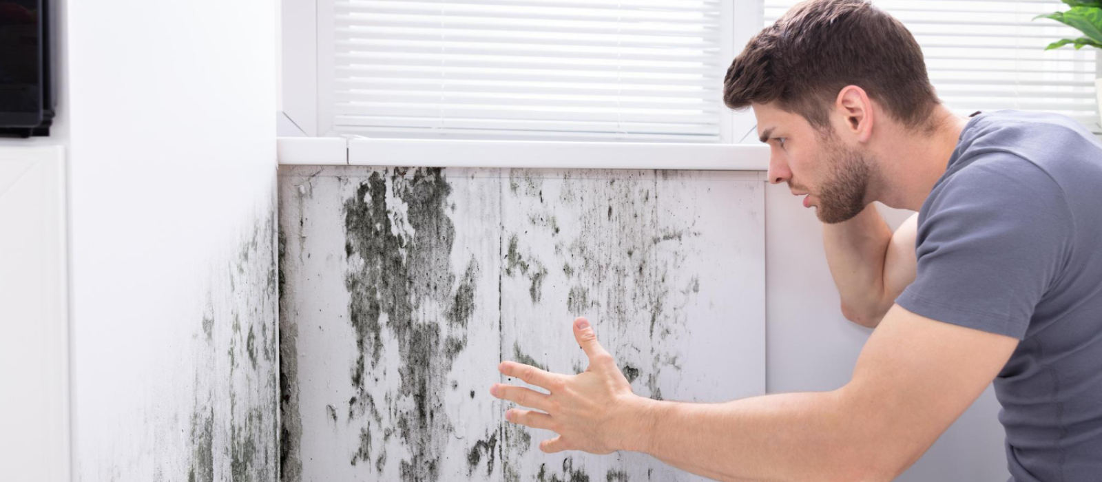Common Types of Dampness in Homes